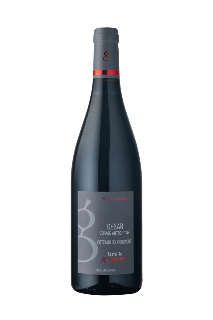 César — Coteaux Bourguignons — Domaine Céline & Frédéric Gueguen