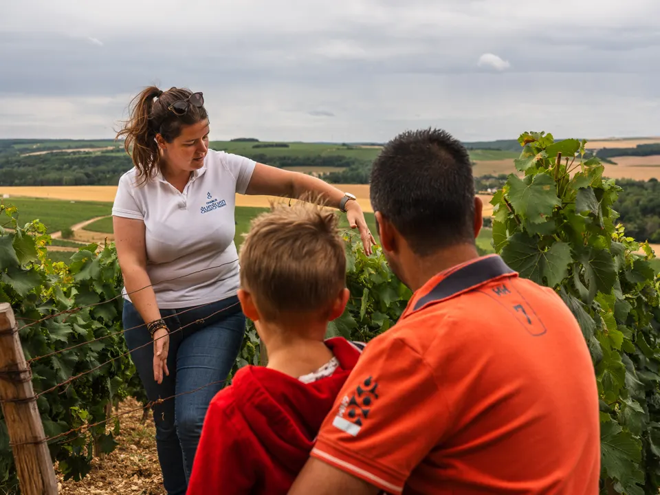 Une guide explique la vigne à une famille, au milieu des rangs